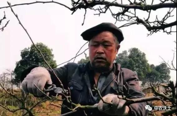微信图片_20201116120757.jpg