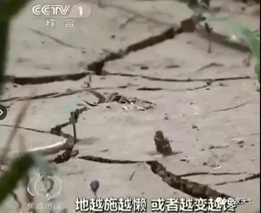 微信图片_20201116134802.jpg