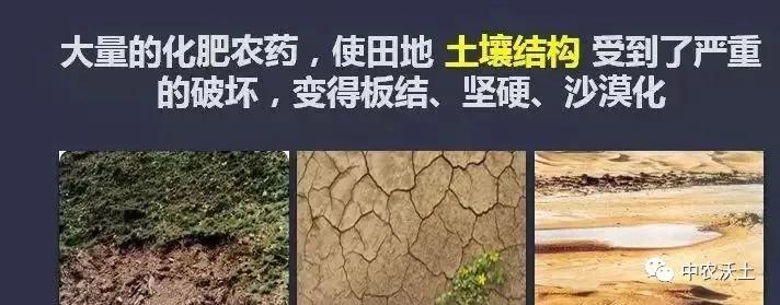 微信图片_20201116134813.jpg
