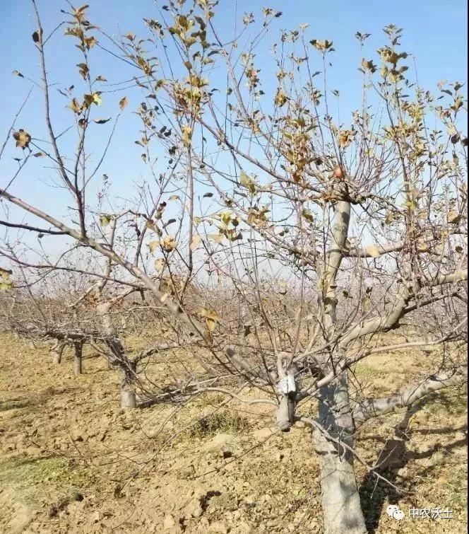 微信图片_20201125160734.jpg