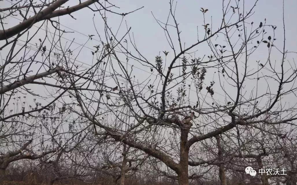 微信图片_20201125160755.jpg