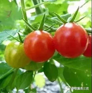 微信图片_20201127161355.jpg