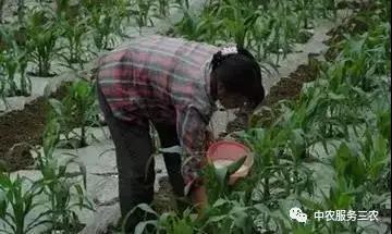 微信图片_20201207110543.jpg