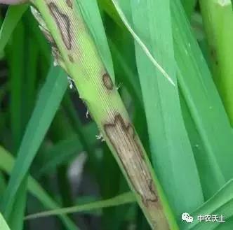 微信图片_20201210115741.jpg