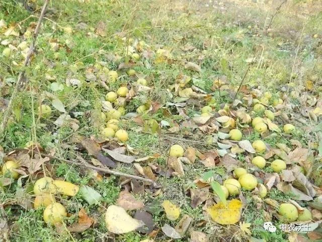 微信图片_20201210115813.jpg