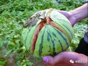 微信图片_20201210115819.jpg