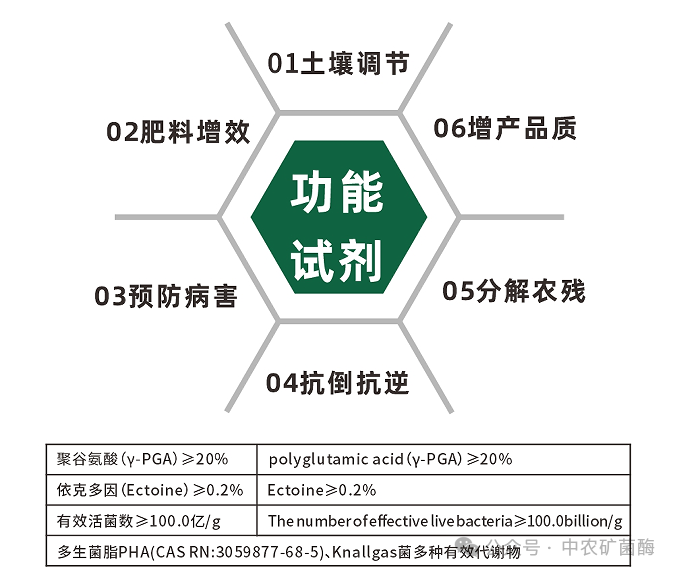 640 (2).png