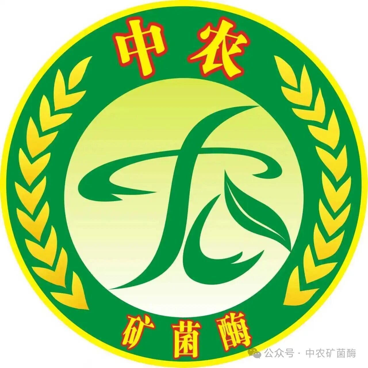 微信图片_2026-04-30_172130_178.jpg